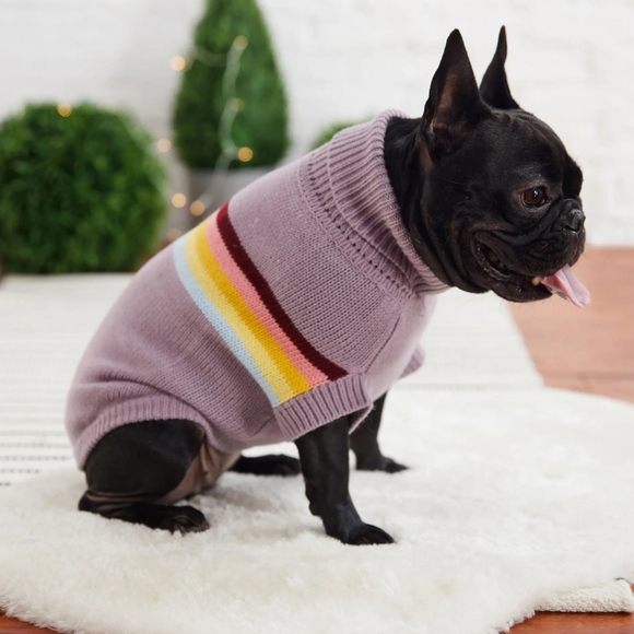 GF Pet- New with Tags- Lavender Retro Dog Sweater- Rainbow Stripe- Size XXS - Picture 1 of 6